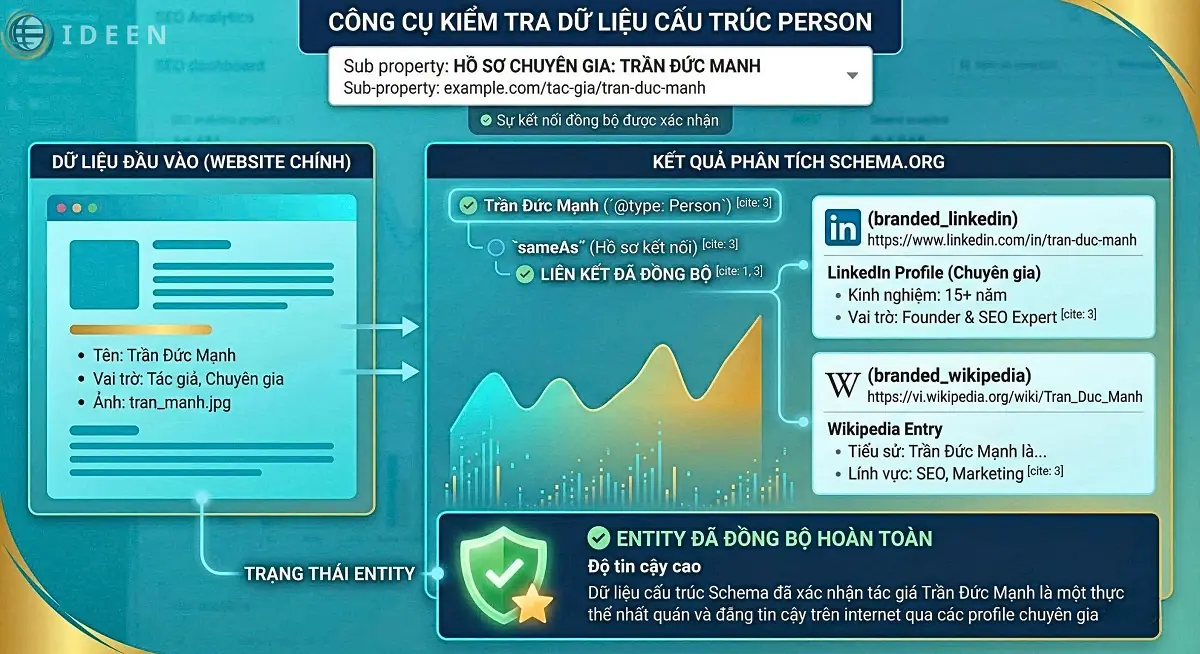 Social Entity v&agrave; Schema