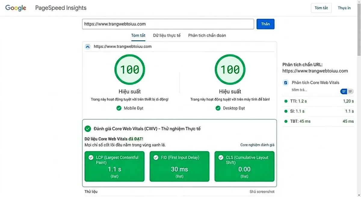 Tối ưu Core Web Vitals 100 điểm